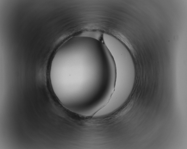 X0000092020530200710041045