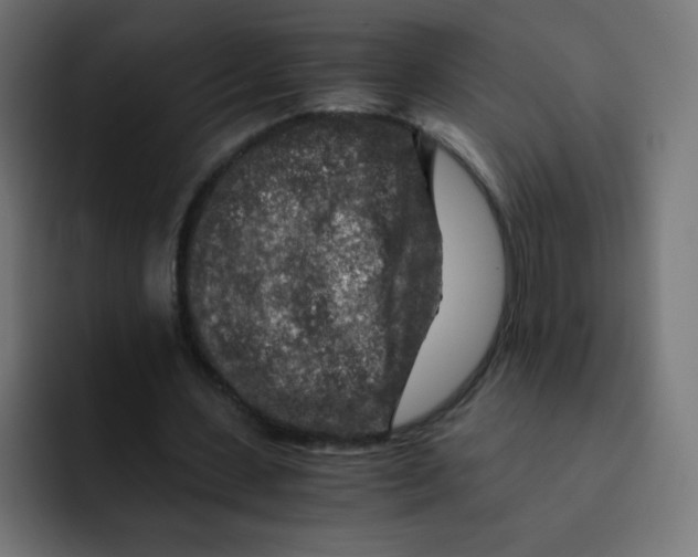 X0000092020531200710041045