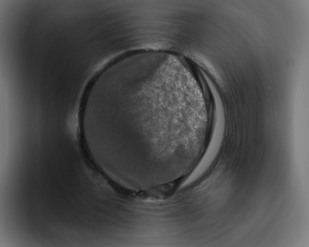 X0000092020532200710041045