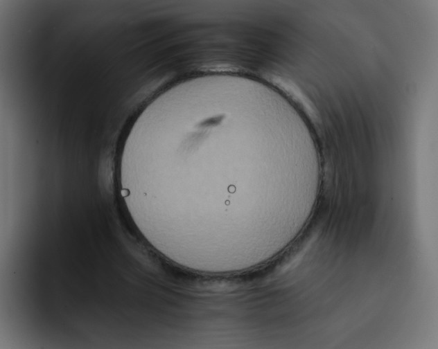 X0000092020533200710041045