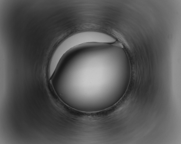 X0000092020538200710041045