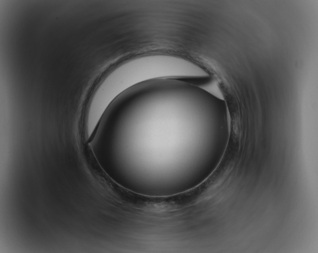 X0000092020540200710041045