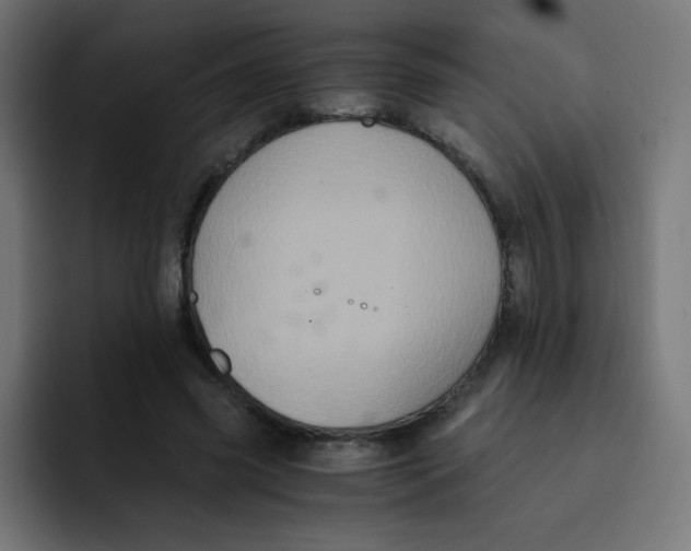 X0000092020541200710041045