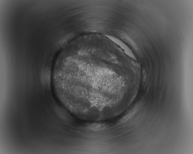 X0000092020542200710041045