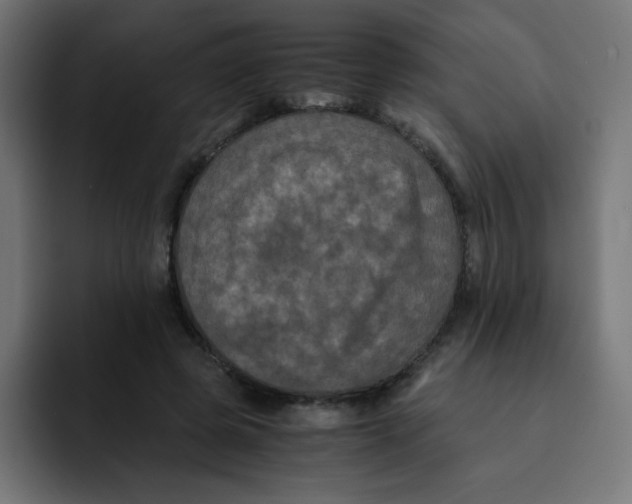 X0000092020545200710041045