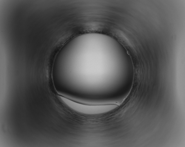 X0000092020546200710041045