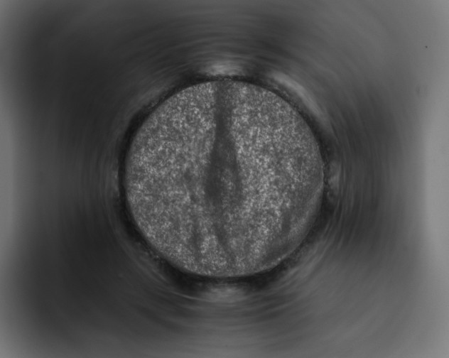 X0000092020547200710041045