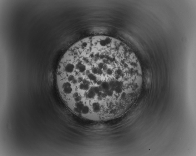 X0000092020551200710041045