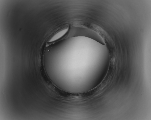 X0000092020552200710041045