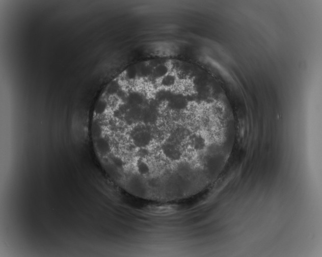 X0000092020553200710041045