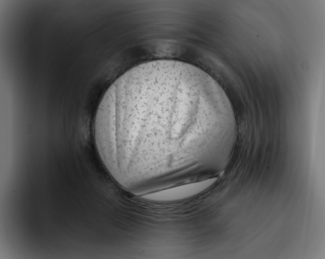 X0000092020554200710041045