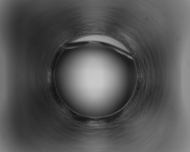 X0000092020556200710041045