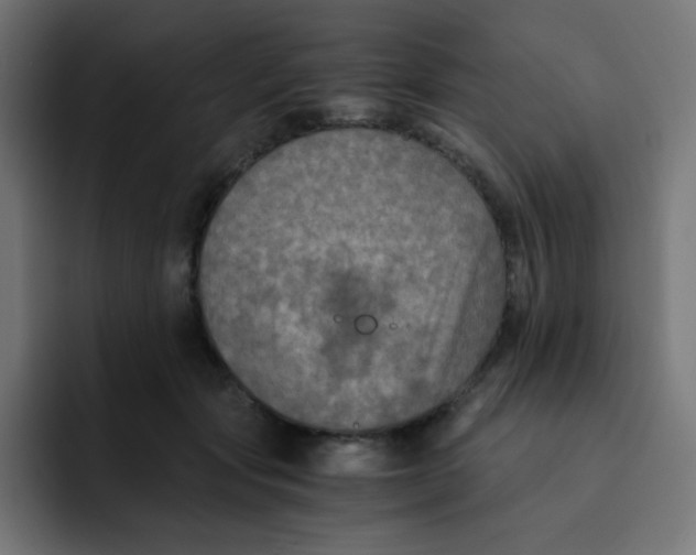 X0000092020557200710041045