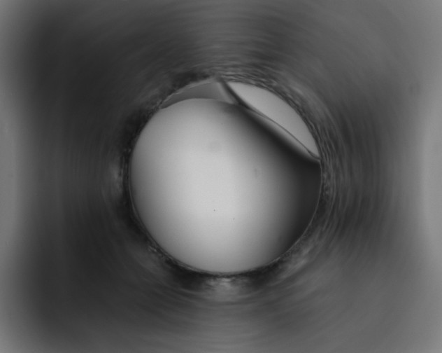 X0000092020558200710041045