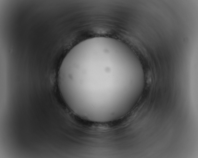 X0000092020559200710041045