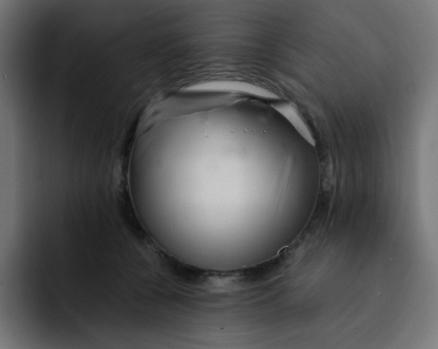 X0000092020560200710041045