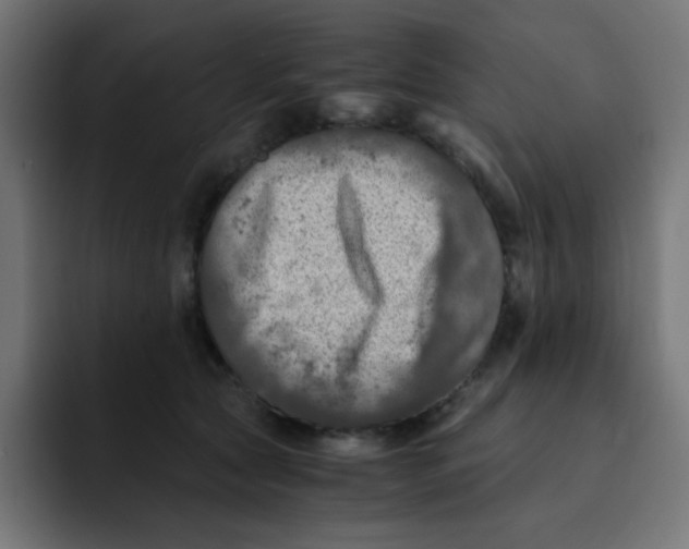 X0000092020561200710041045