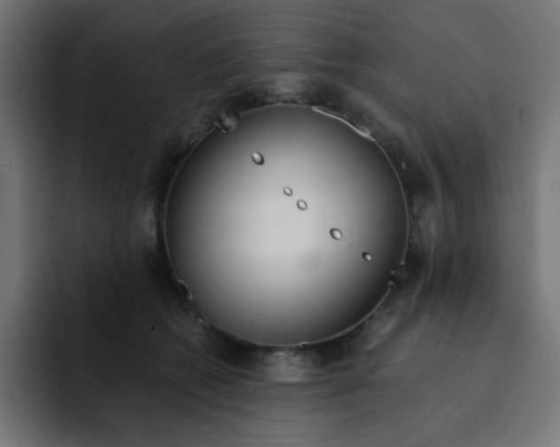 X0000092020562200710041045