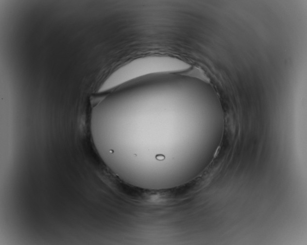 X0000092020564200710041045