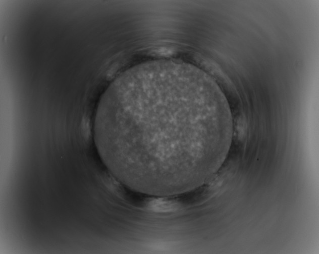 X0000092020568200710041045