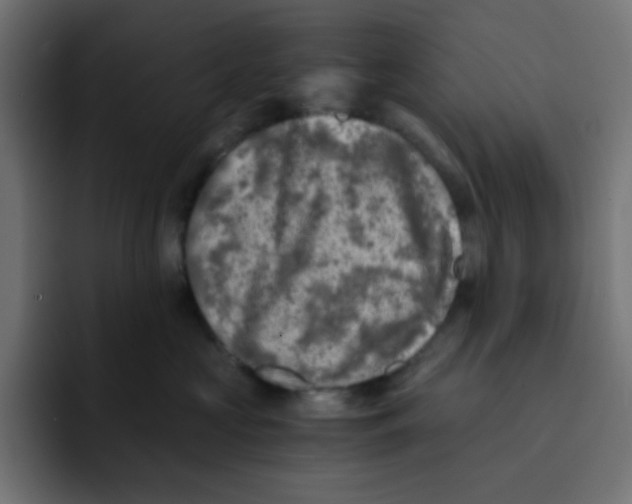 X0000092020573200710041046