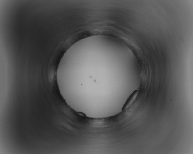 X0000092020574200710041046