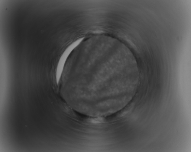 X0000092020576200710041046