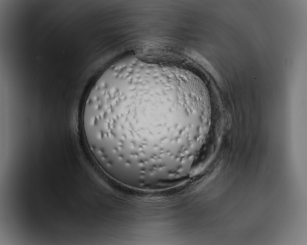 X0000092020581200710041045