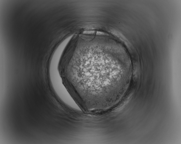 X0000092020585200710041045