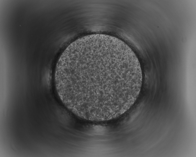 X0000092020592200710041045