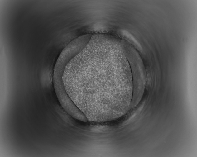 X0000092020593200710041045