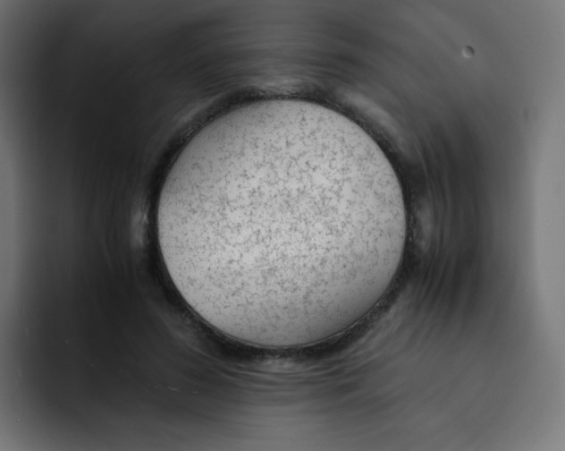 X0000092020596200710041045