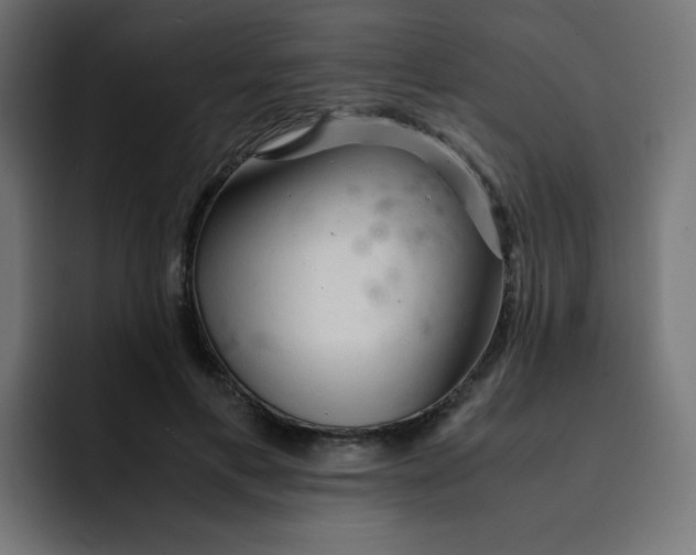 X0000092020597200710041045