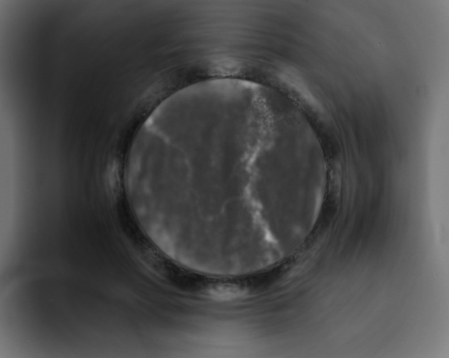 X0000092020598200710041045