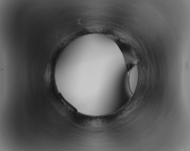 X0000092020600200710041045