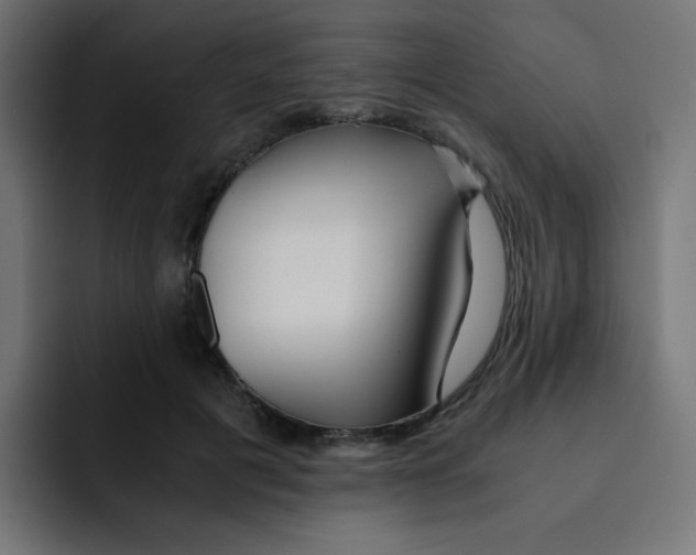 X0000092020601200710041045