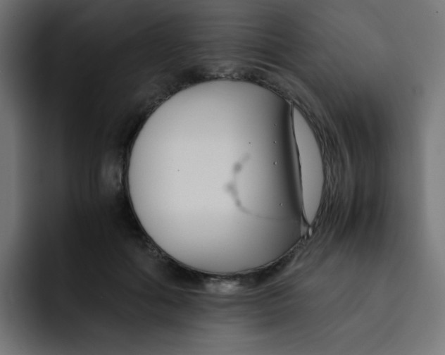 X0000092020602200710041045