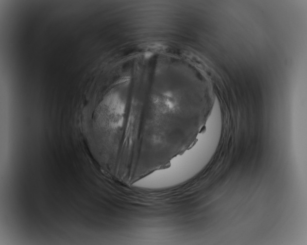 X0000092020604200710041045