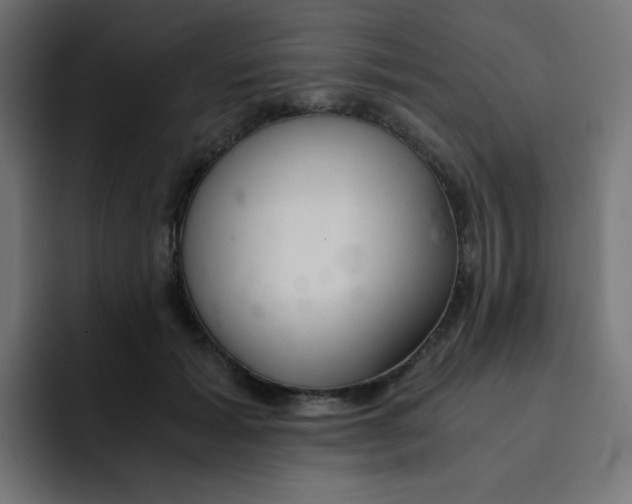 X0000092020605200710041045