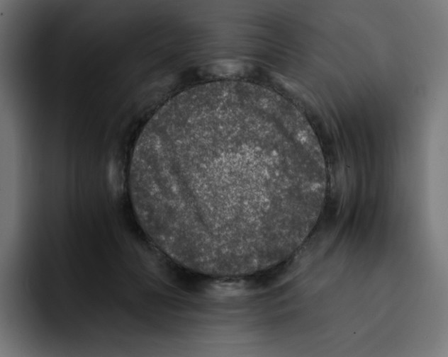 X0000092020606200710041045