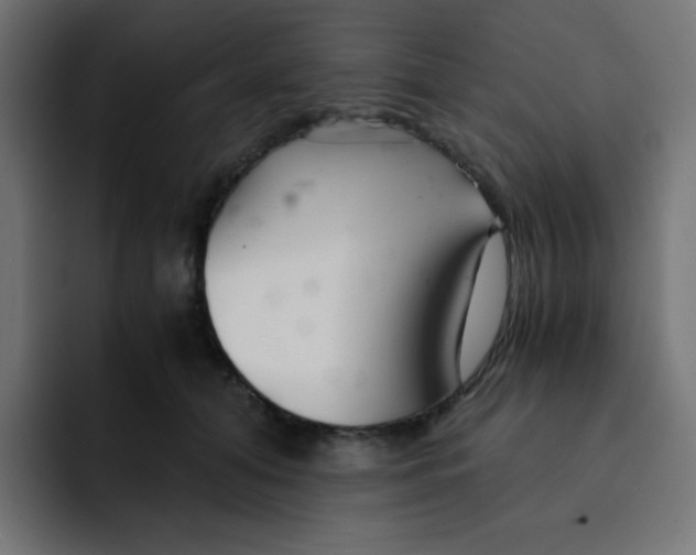 X0000092020608200710041045