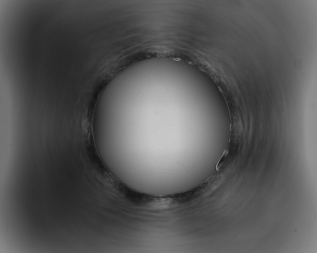 X0000092020609200710041045