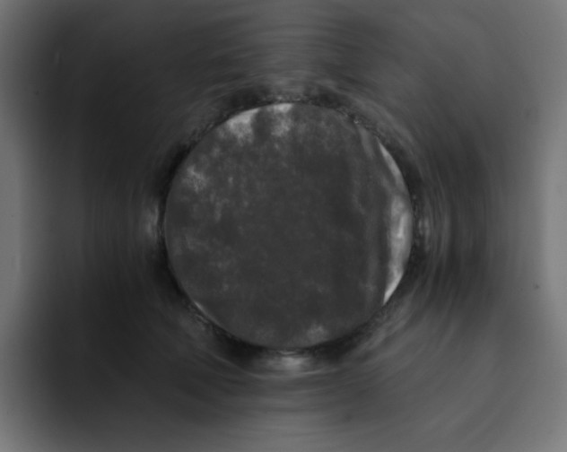 X0000092020610200710041045