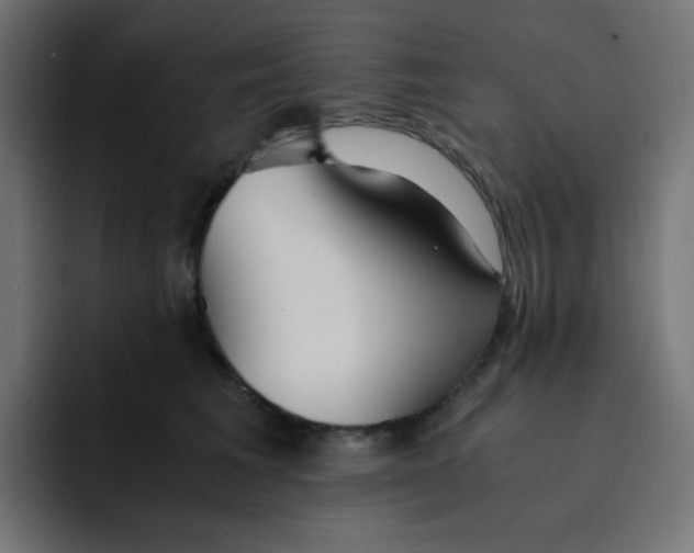 X0000092020613200710041045