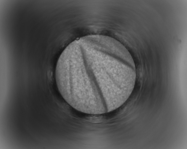 X0000092020615200710041045