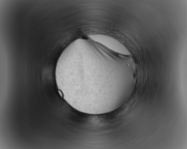 X0000092020616200710041045