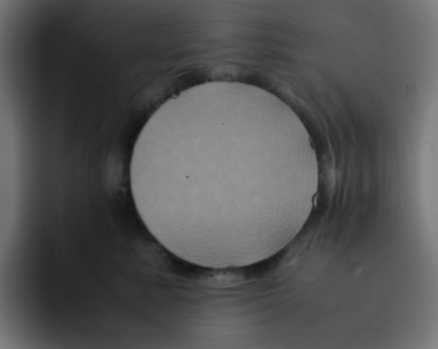 X0000092020619200710041044