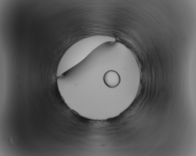 X0000092020621200710041044