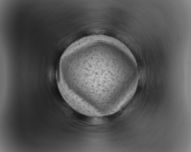 X0000092020623200710041044