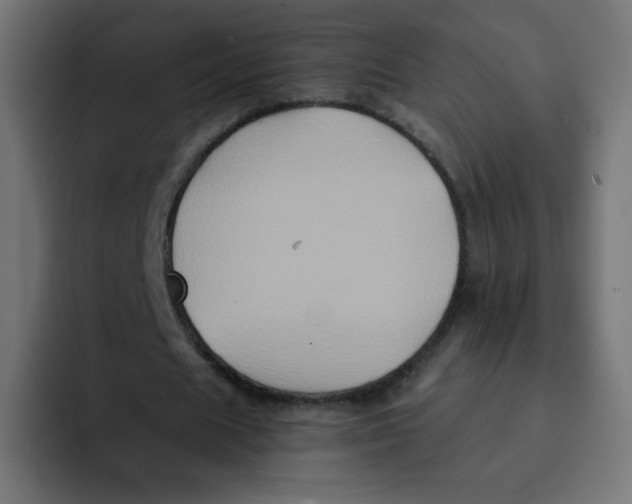 X0000092020625200710041044